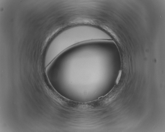X0000073450399200607281011
