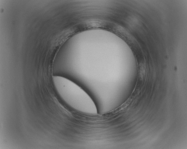 X0000073450410200607281011