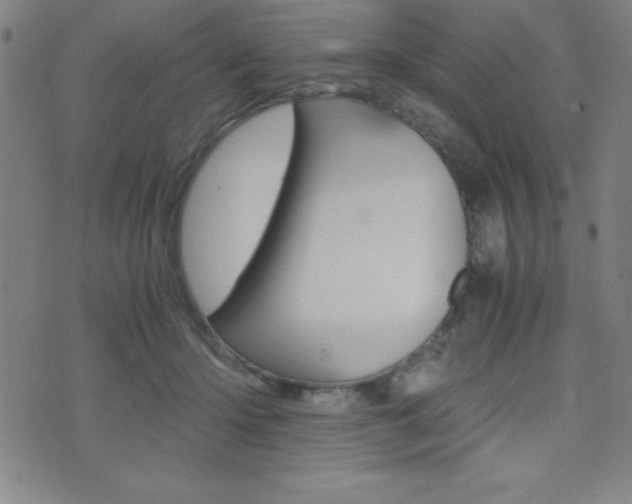 X0000073450414200607281011