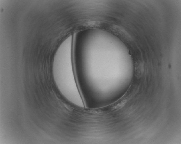 X0000073450416200607281011