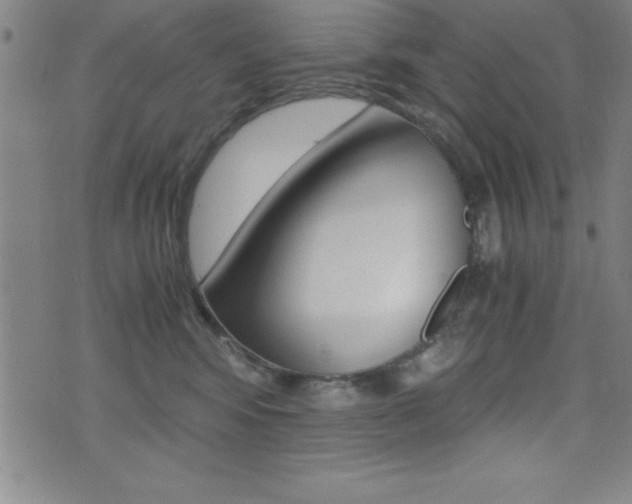 X0000073450424200607281011