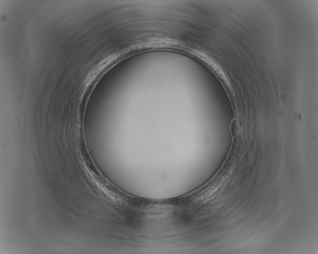 X0000073450437200607281010
