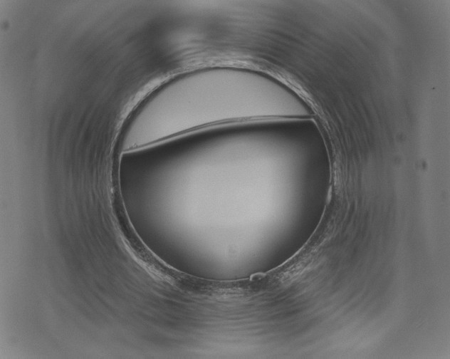 X0000073450438200607281010