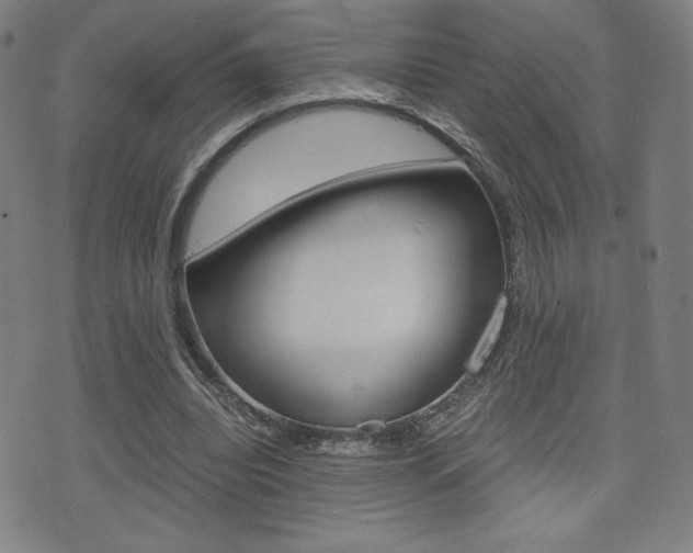 X0000073450440200607281010