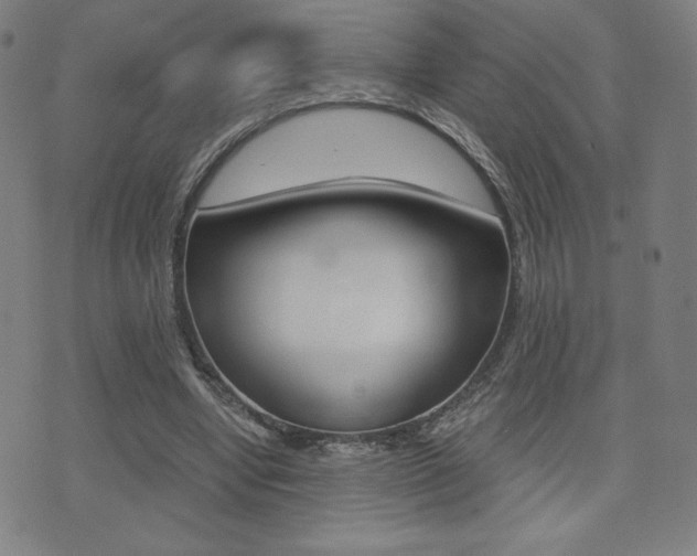 X0000073450442200607281010