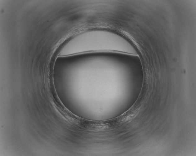 X0000073450443200607281010