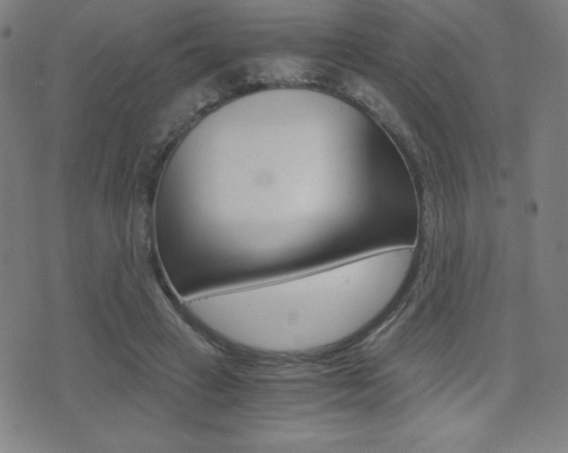 X0000073450449200607281010