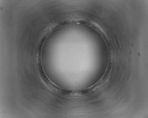 X0000073450451200607281010