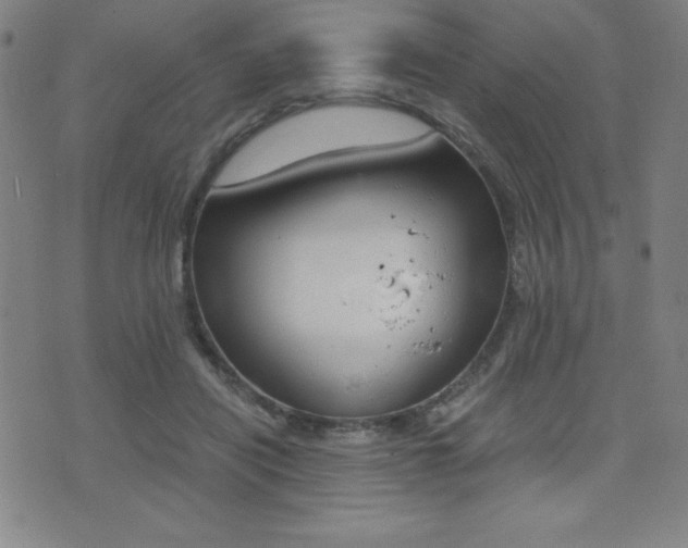 X0000073450454200607281010