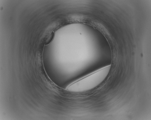 X0000073450457200607281010