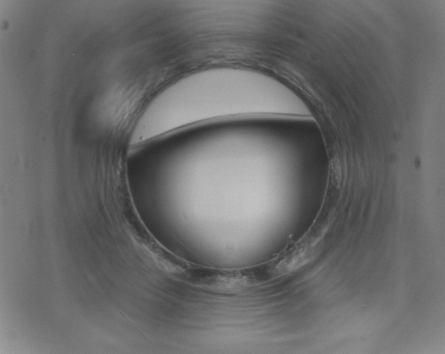 X0000073450458200607281010