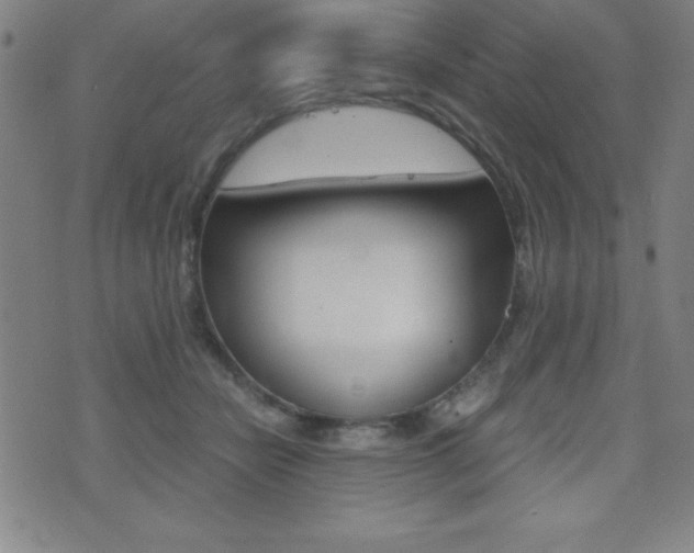 X0000073450462200607281011