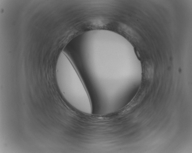X0000073450467200607281011