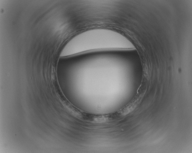 X0000073450470200607281011