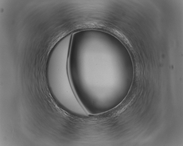 X0000073450481200607281010