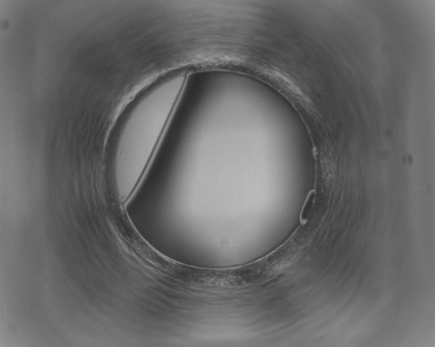X0000073450488200607281010