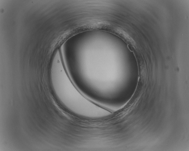 X0000073450493200607281010
