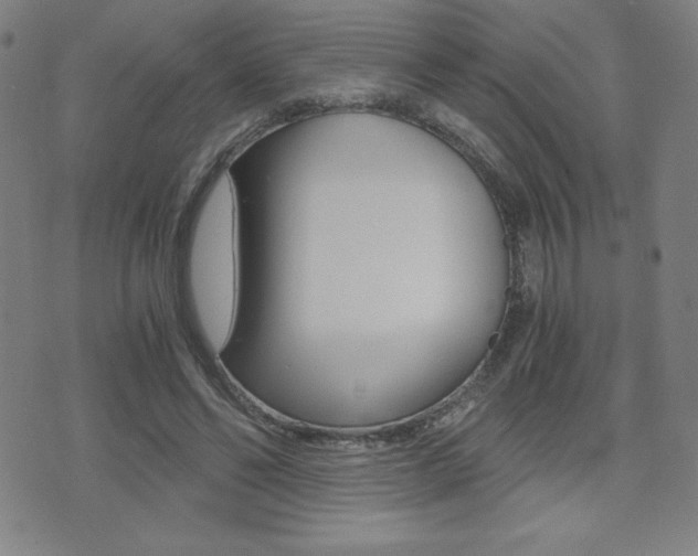 X0000073450494200607281010