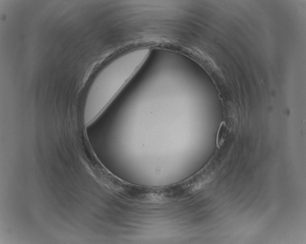 X0000073450496200607281010
