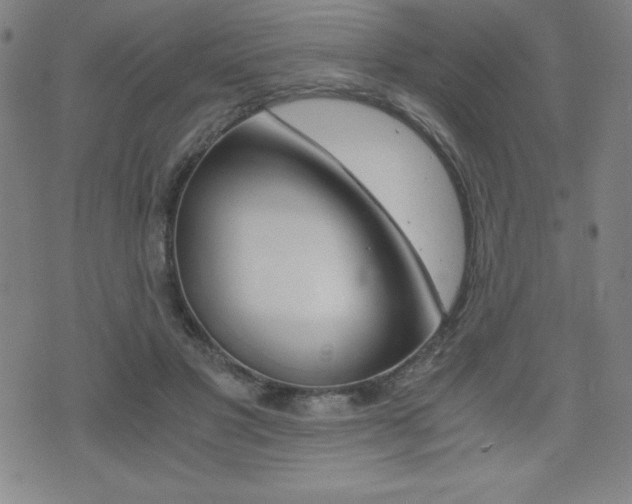 X0000073450501200607281010
