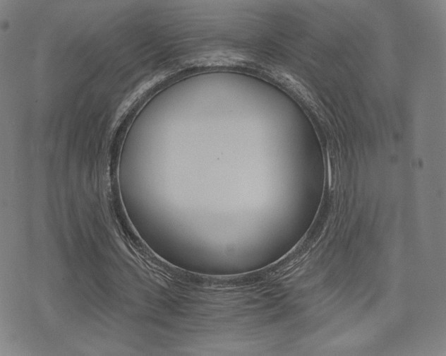 X0000073450531200607281009