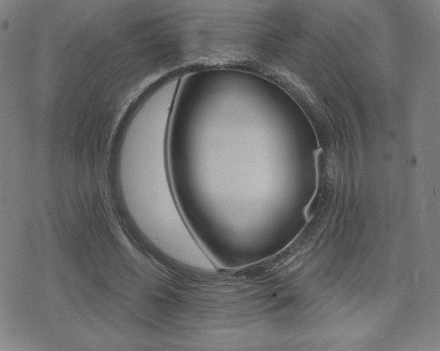 X0000073450540200607281009