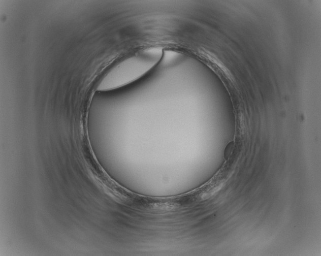 X0000073450541200607281009