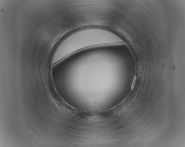 X0000073450544200607281009