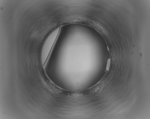 X0000073450546200607281009