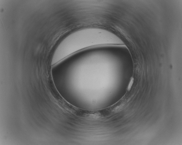X0000073450548200607281009