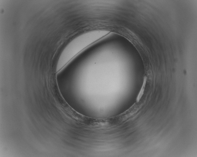 X0000073450552200607281009