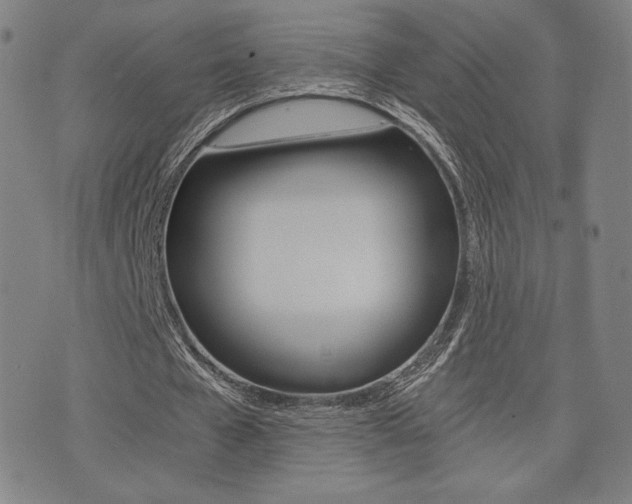 X0000073450577200607281008