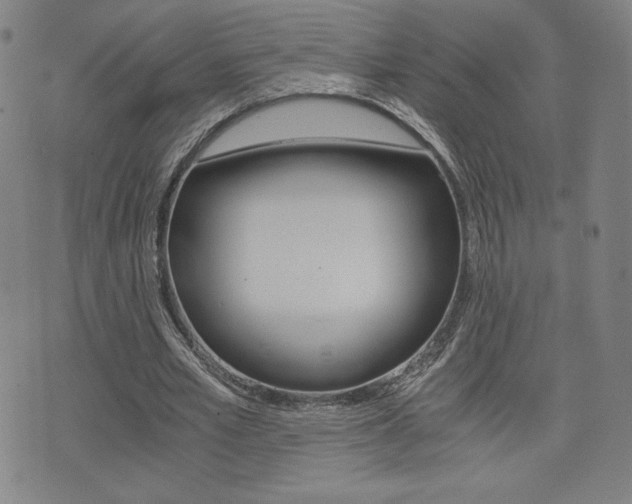 X0000073450581200607281008