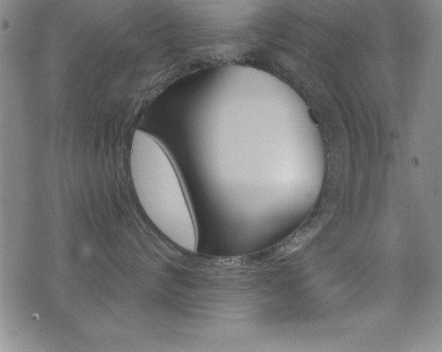 X0000073450624200607281008