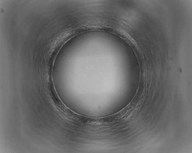 X0000073450635200607281007