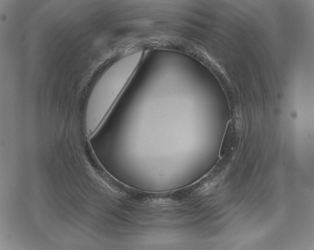 X0000073450637200607281007