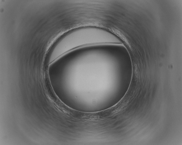 X0000073450676200607281007
