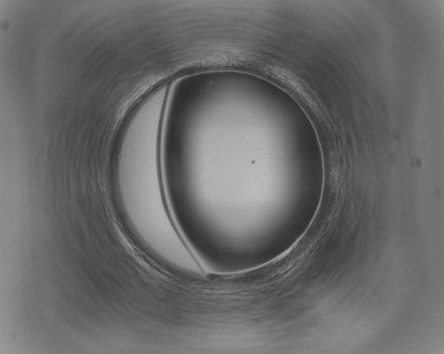 X0000073450677200607281007