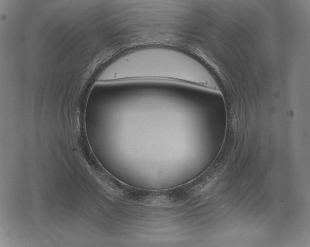 X0000073450685200607281007