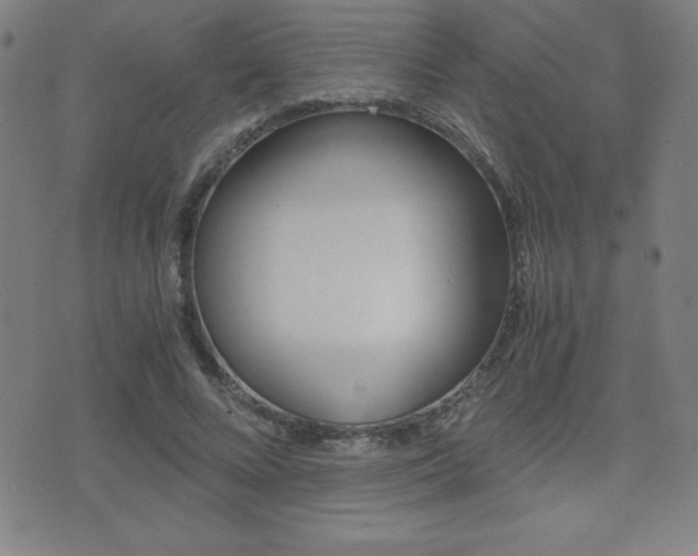 X0000073450688200607281007