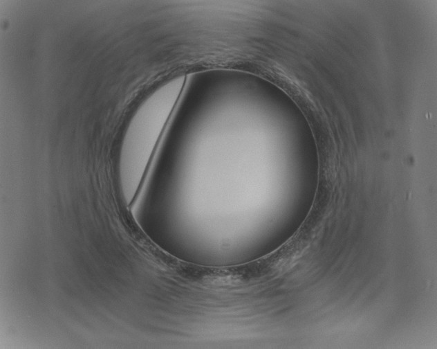 X0000073450689200607281007