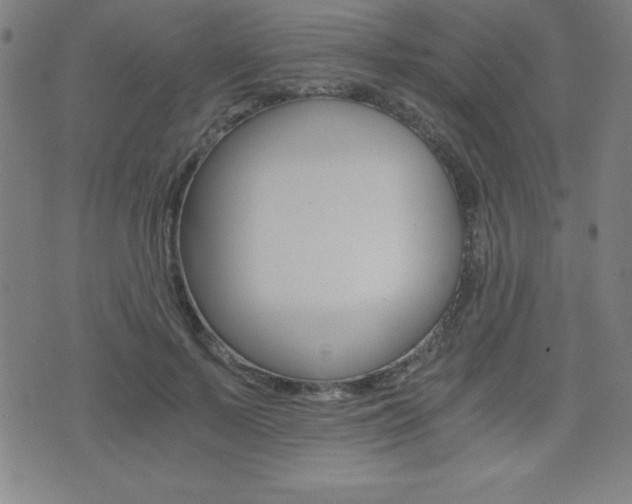X0000073450695200607281007
