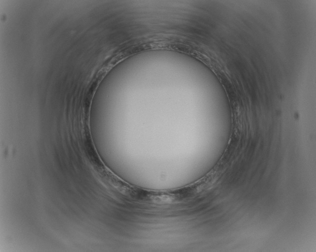X0000073450698200607281007