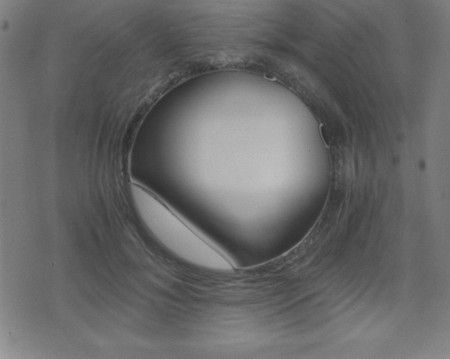 X0000073450700200607281006
