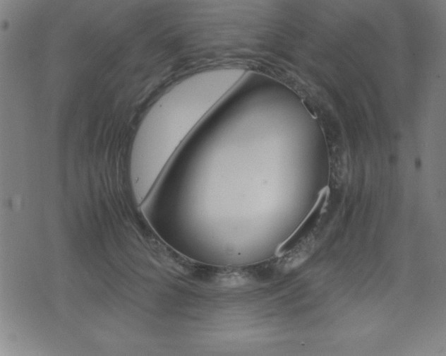 X0000073450704200607281006