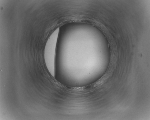 X0000073450720200607281006