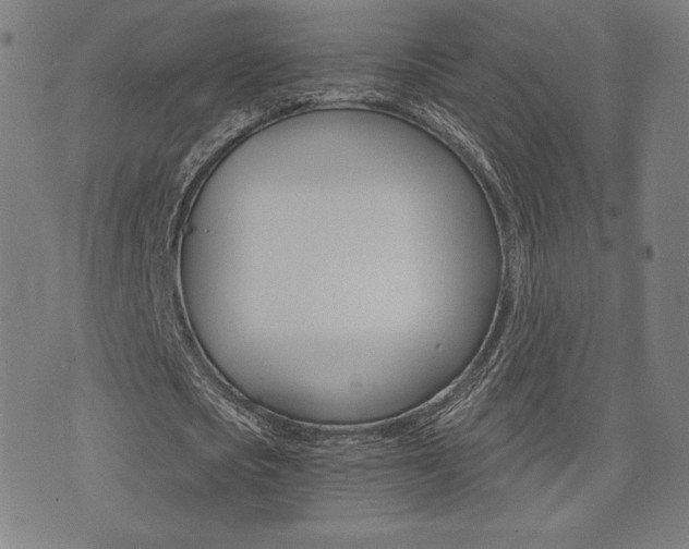 X0000073450721200607281005