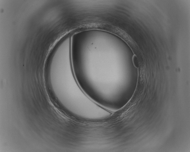 X0000073450722200607281005