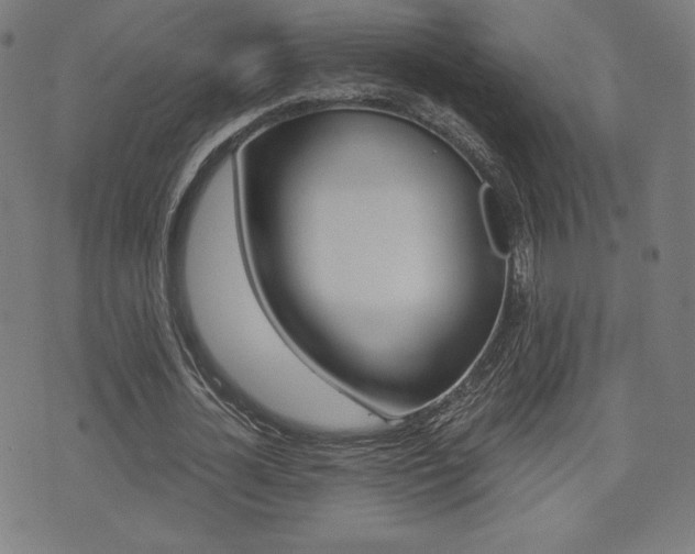 X0000073450724200607281005