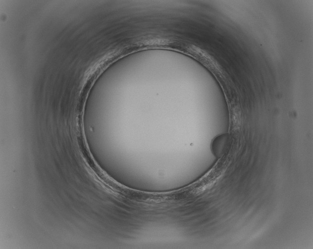 X0000073450725200607281005